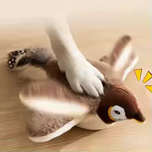 Flapping Wings Bird
